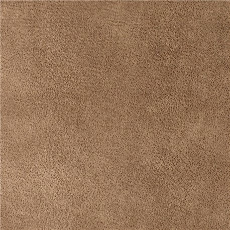 BRUTUS CAMEL BRUTUS CAMEL