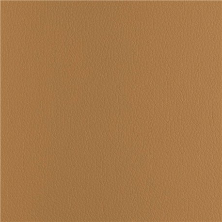 CHRONUS CAMEL CHRONUS CAMEL