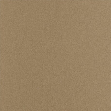CHRONUS LIGHT CAMEL