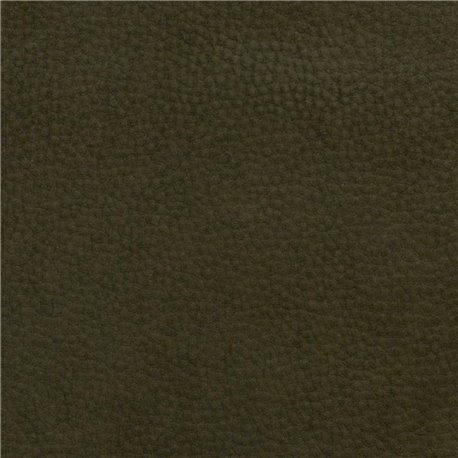 COLUMBIA MOSS 191701 COLUMBIA MOSS 191701