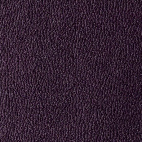 HABANA PURPLE HABANA PURPLE