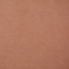MANAUS NUDE 024014