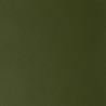 MONACO GREEN 111218