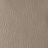 MONTECARLO TAUPE
