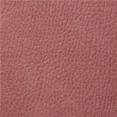 MOZART CORAL MOZART CORAL