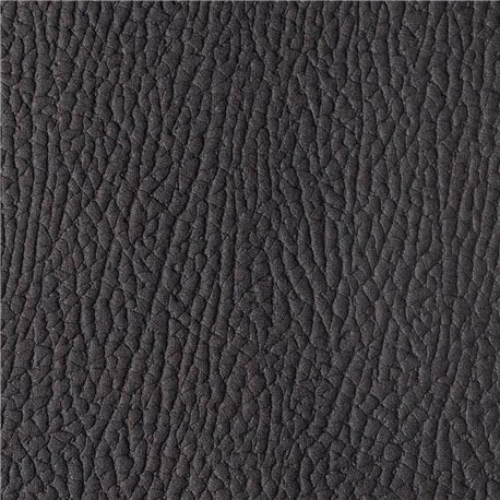 MOZART OLIVEGREY MOZART OLIVEGREY