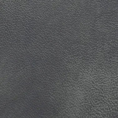 KANSAS ASH 181310