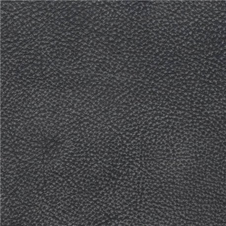 KANSAS GRAPHITE 181311