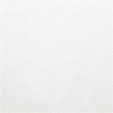 JOKER BLANCO OPTICO JOKER BLANCO OPTICO