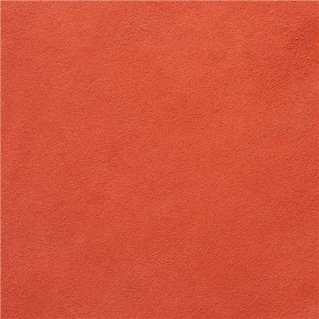 VERONA CORAL