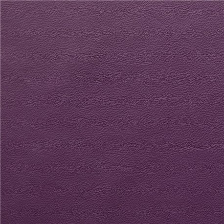BABEL VIOLA BABEL VIOLA