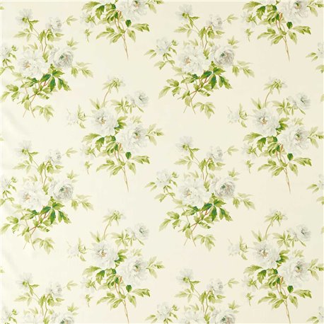 Adele English Pear DOSF226877 Adele English Pear DOSF226877