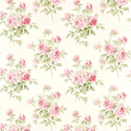 Adele Rose-Cream DCAVAD201 Adele Rose-Cream DCAVAD201