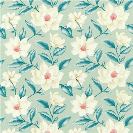 Grandiflora Scotch Grey DOSF226864 Grandiflora Scotch Grey DOSF226864