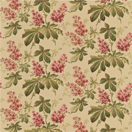 Pavia Ruby-Emerald DCOUPA201 Pavia Ruby-Emerald DCOUPA201