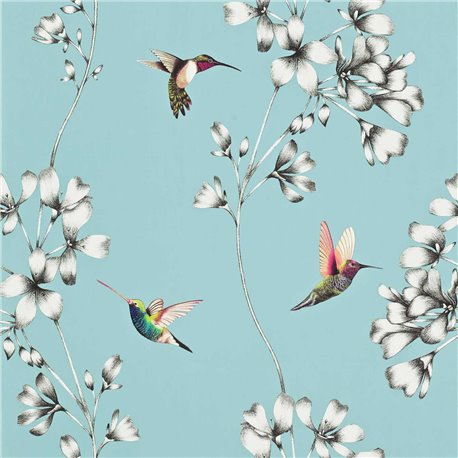 Amazilia Sky HAMA111060 Amazilia Sky HAMA111060