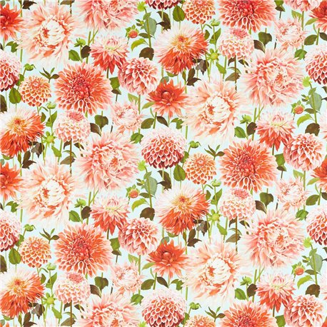Dahlia Coral Fig Leaf Sky HQN2121083 Dahlia Coral Fig Leaf Sky HQN2121083