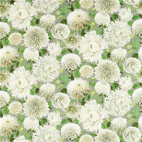 Dahlia Sail Cloth Meadow Sketched HQN2121085 Dahlia Sail Cloth Meadow Sketched HQN2121085