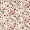 Helianthus Moonstone Succulent Bleached Coral HQN121074