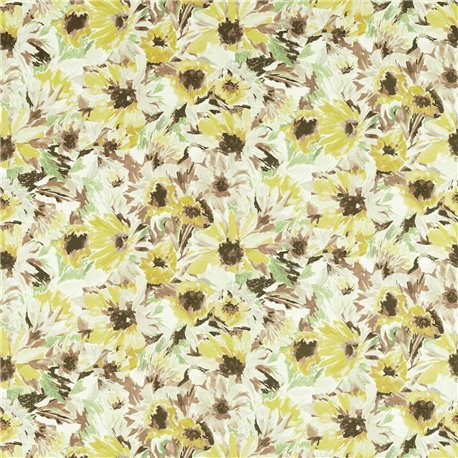 Helianthus Sunflower Grass Awakening HQN2121073 Helianthus Sunflower Grass Awakening HQN2121073