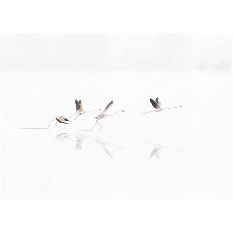 Doñana Swan A00316 Doñana Swan A00316