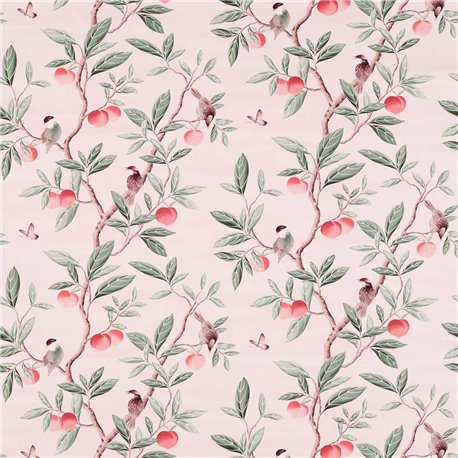 Ella Powder Sage Peach HDHP121112 Ella Powder Sage Peach HDHP121112