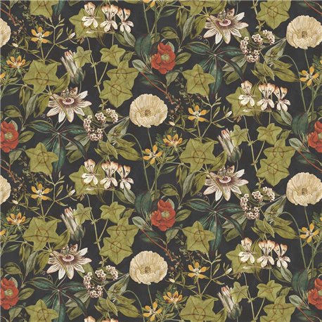 Passiflora Noir Velvet F1304-09 Passiflora Noir Velvet F1304-09