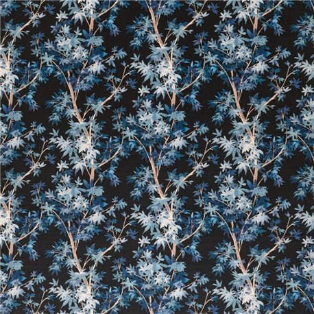 Aspen Midnight Aspen Midnight