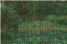 BAMBOO K021_16_01