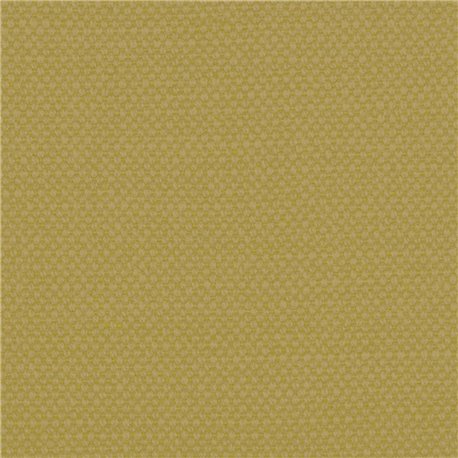 Aspen-05
