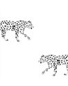 LEOPARD WALLPAPER - LEOPARD - BLACK-WHITE