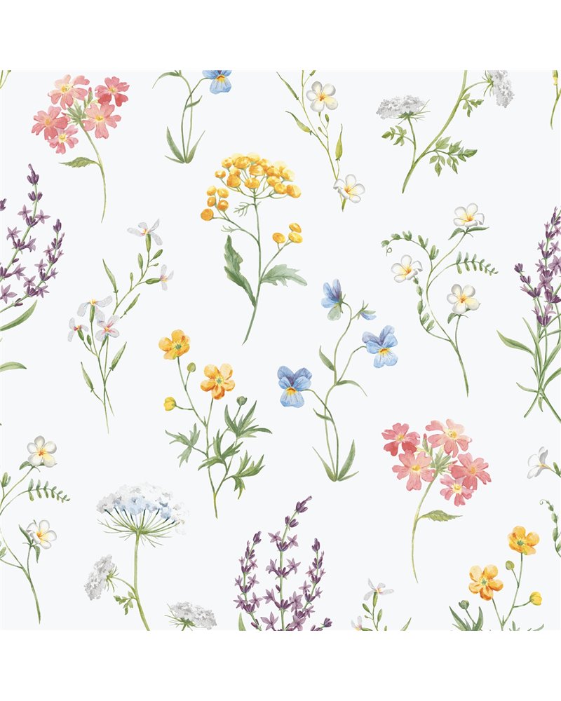 Botanical Multi 1901-4 Botanical Multi 1901-4