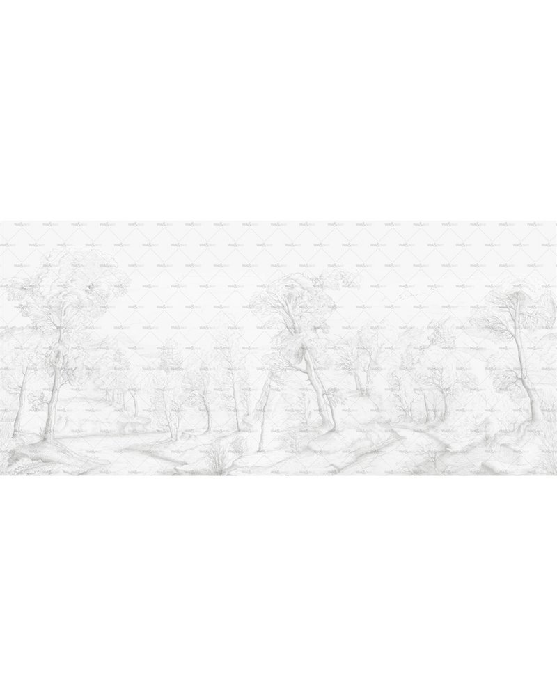Inner forest WET_IF1601 Inner forest WET_IF1601