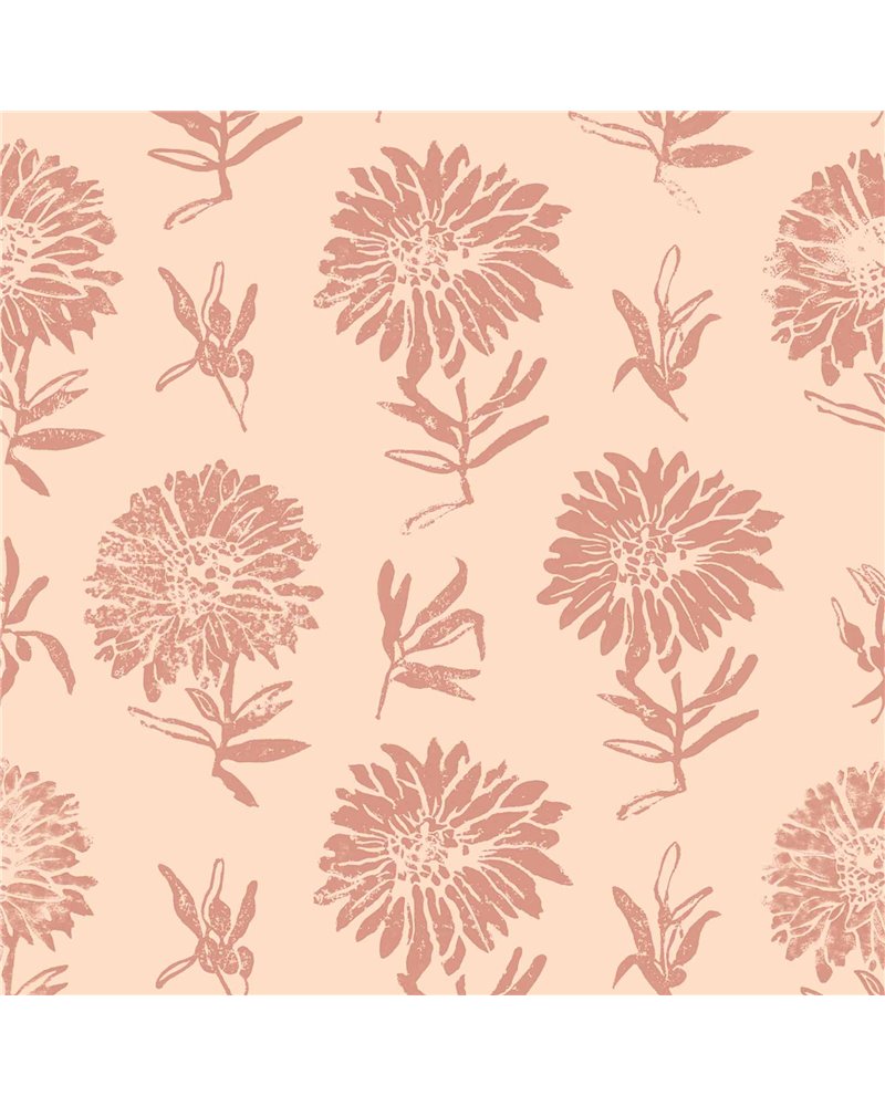 Parterre Rosa A00636