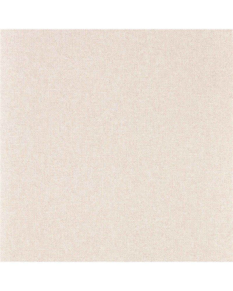 Sessile Plain Wild Rose DABW217244 Sessile Plain Wild Rose DABW217244