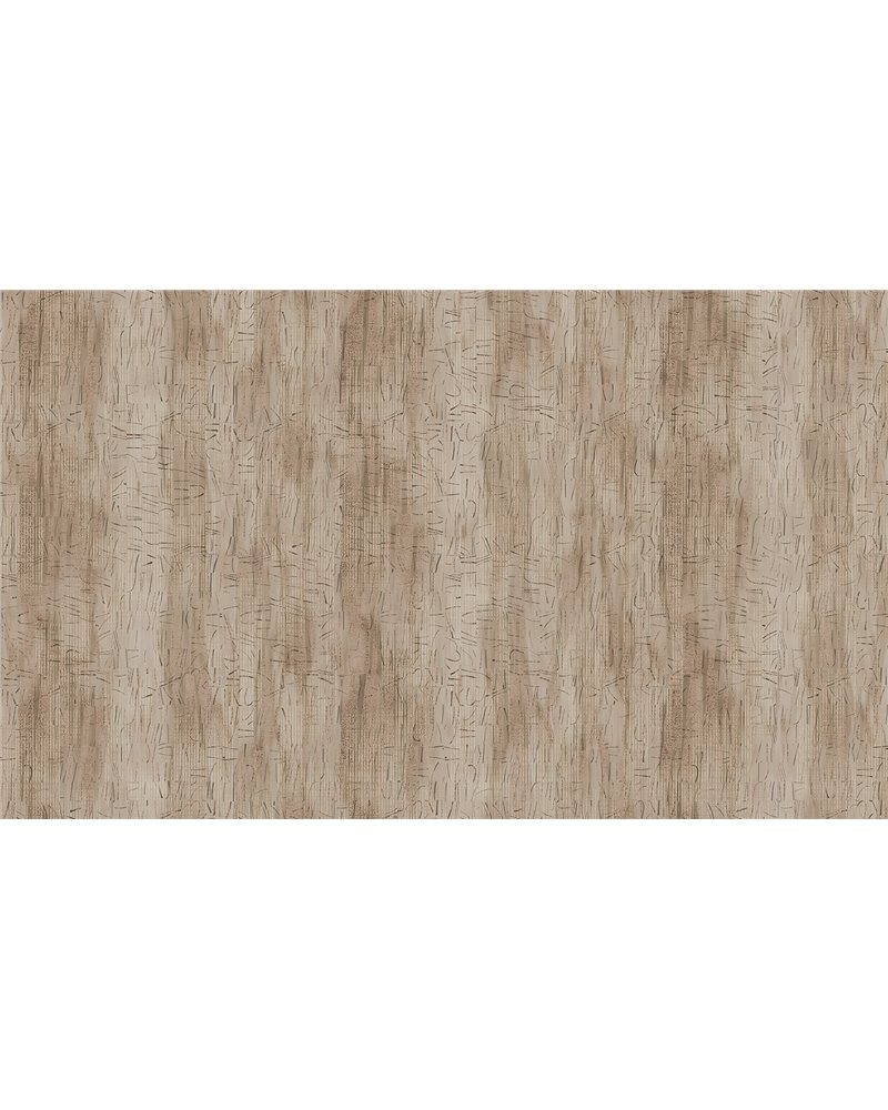 CORTECCIA - C5403