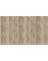 CORTECCIA - C5403