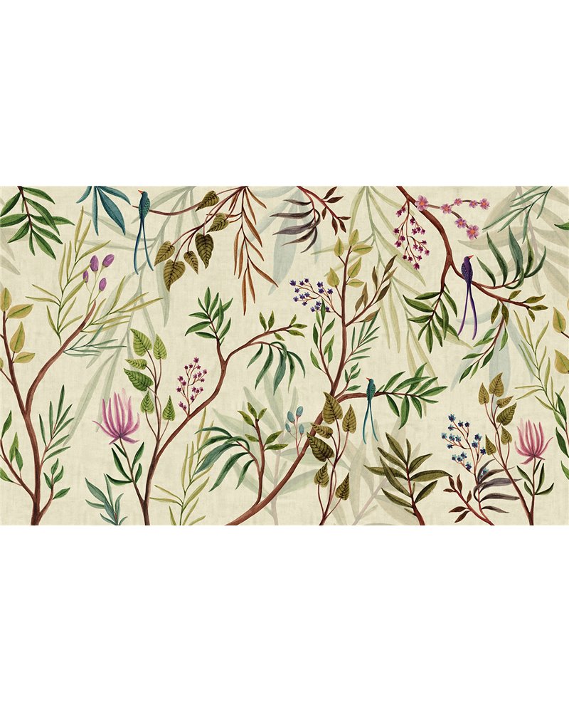 IMARI - C6001