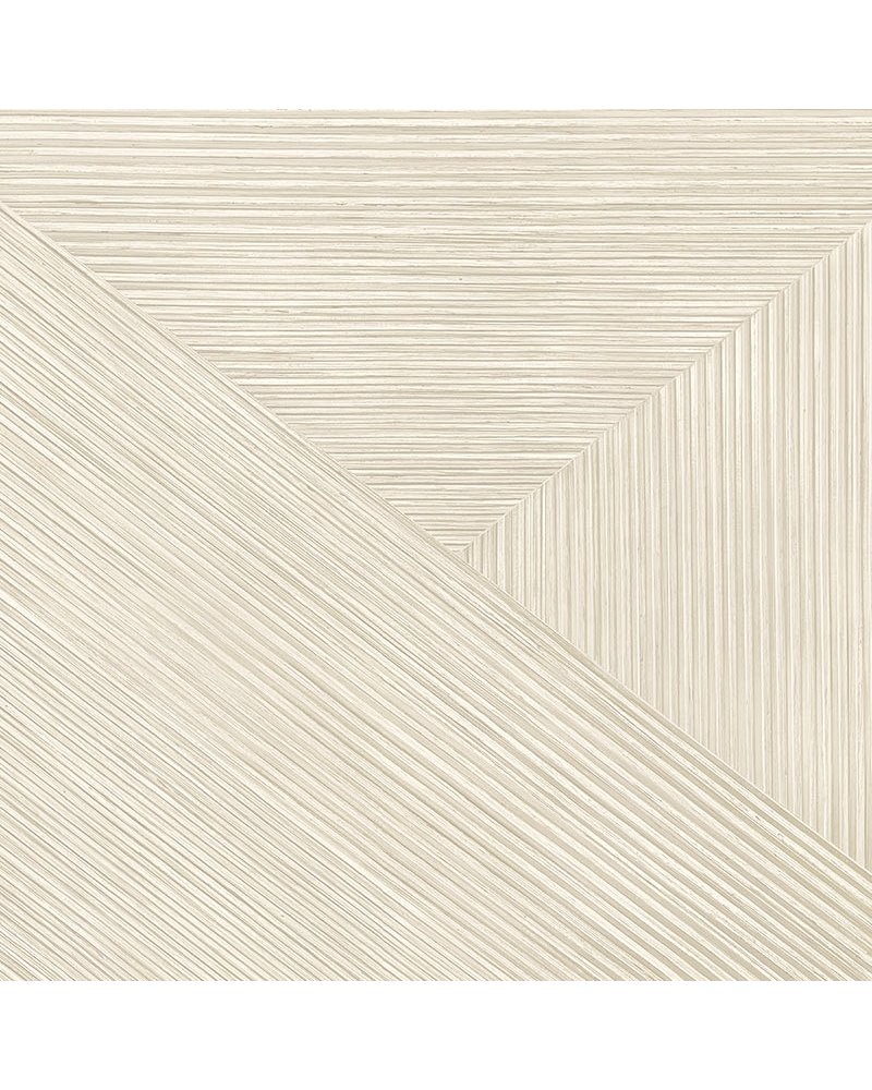 CL21205