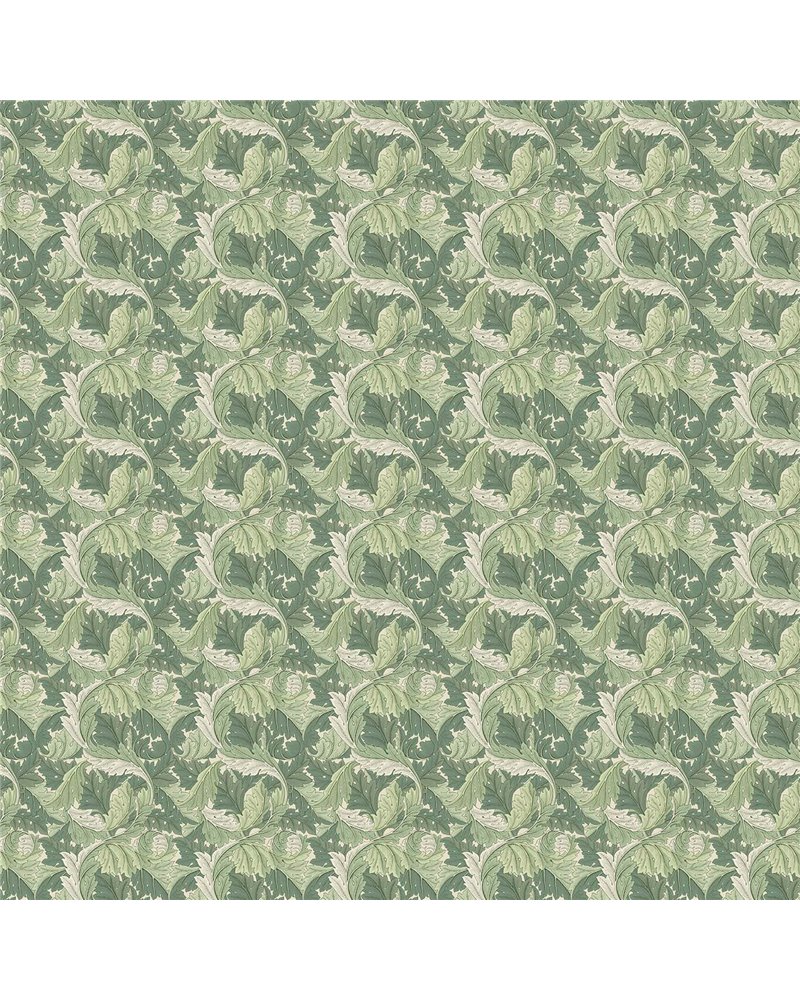 Acanthus Apple Sage F1681-02 Acanthus Apple Sage F1681-02