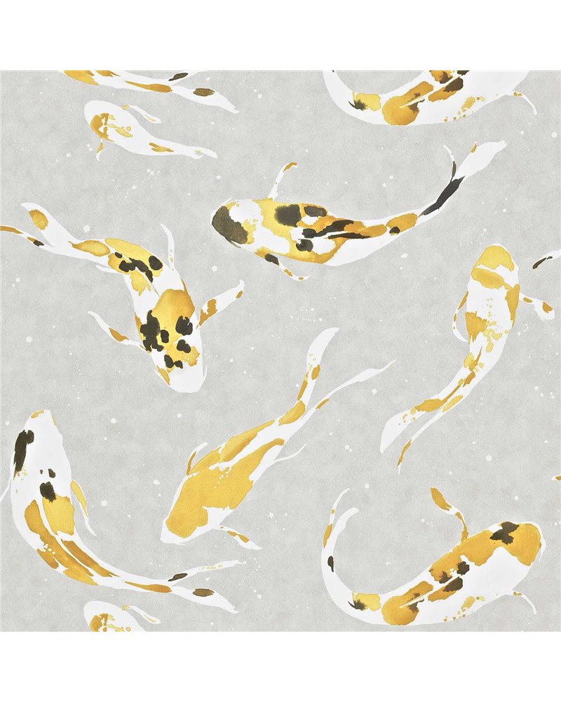 Koi Saffron HMOW110901 Koi Saffron HMOW110901