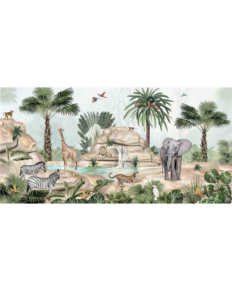 Jolly Jungle Jolly Jungle