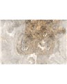 AQUALUNAE GLF362B