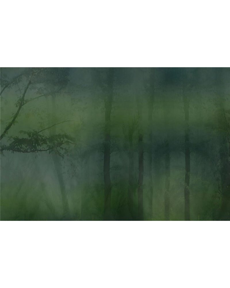 MISTERY GLF831A MISTERY GLF831A