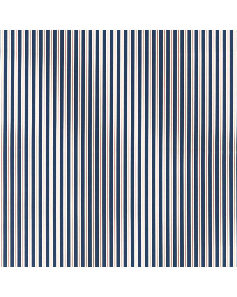 Carousel Coral Navy F1636-01