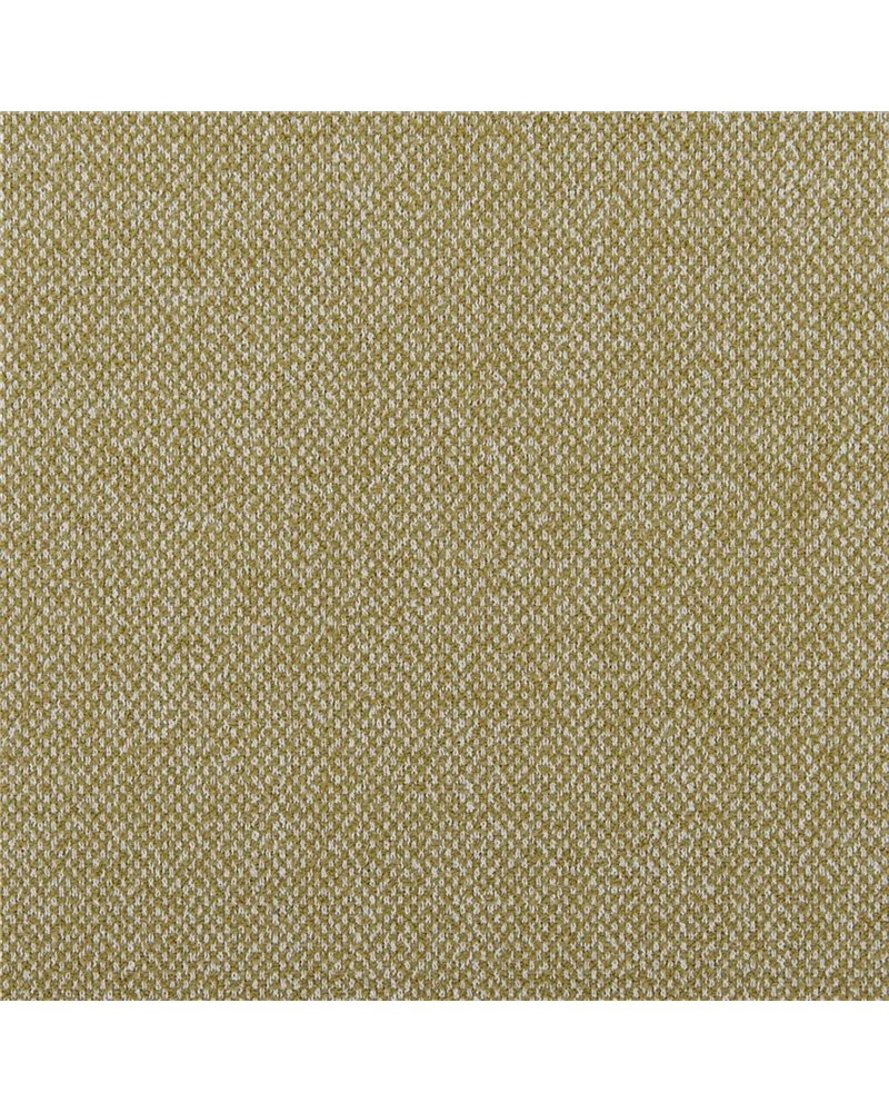 Torrington Ochre FDG3101-17 Torrington Ochre FDG3101-17