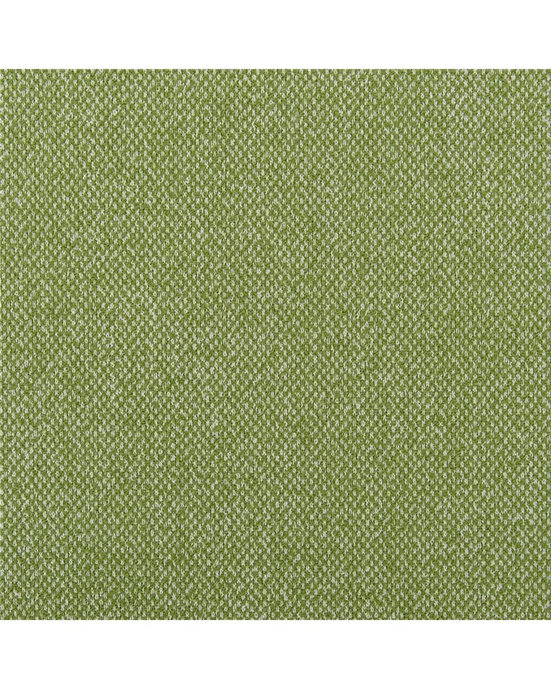 Torrington Grass FDG3101-16 Torrington Grass FDG3101-16