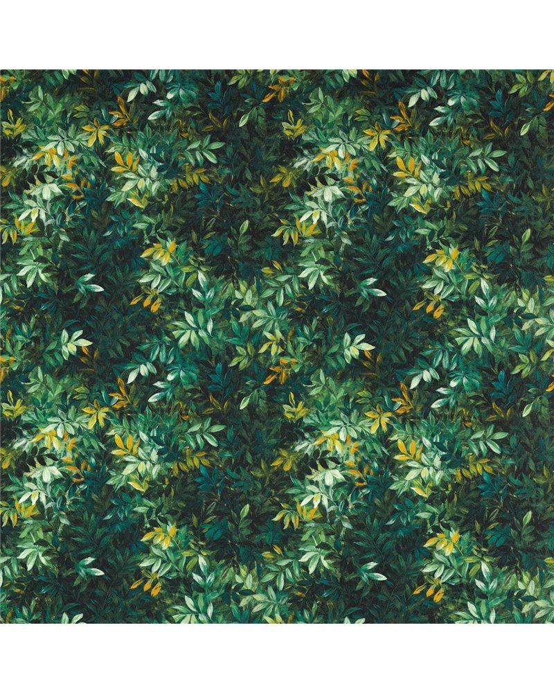 Congo Outdoor Forest F1666-01 Congo Outdoor Forest F1666-01