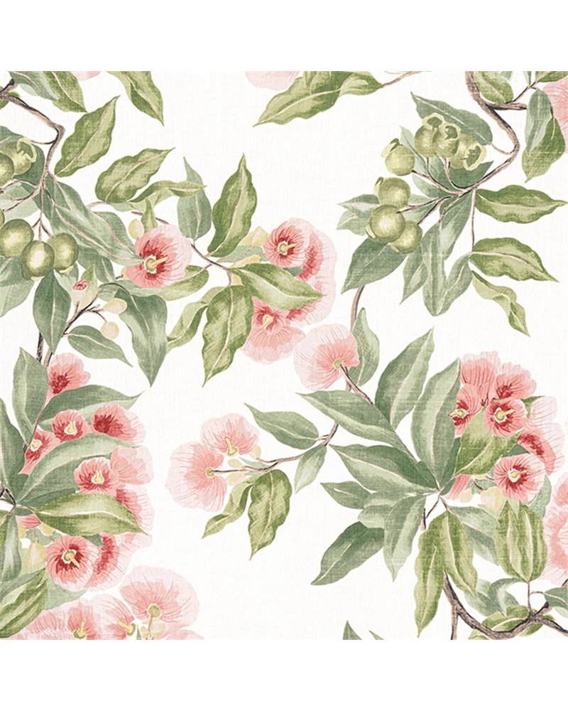 Camellia Garden Coral AF24550 Camellia Garden Coral AF24550