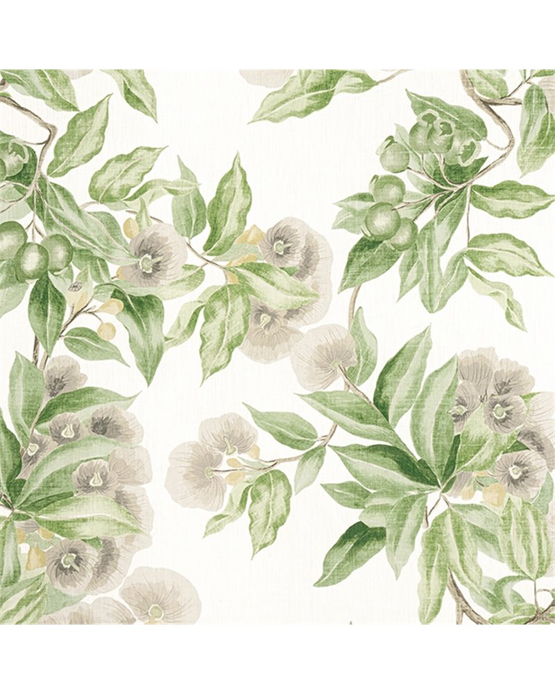 Camellia Garden Spring On White AF24551 Camellia Garden Spring On White AF24551